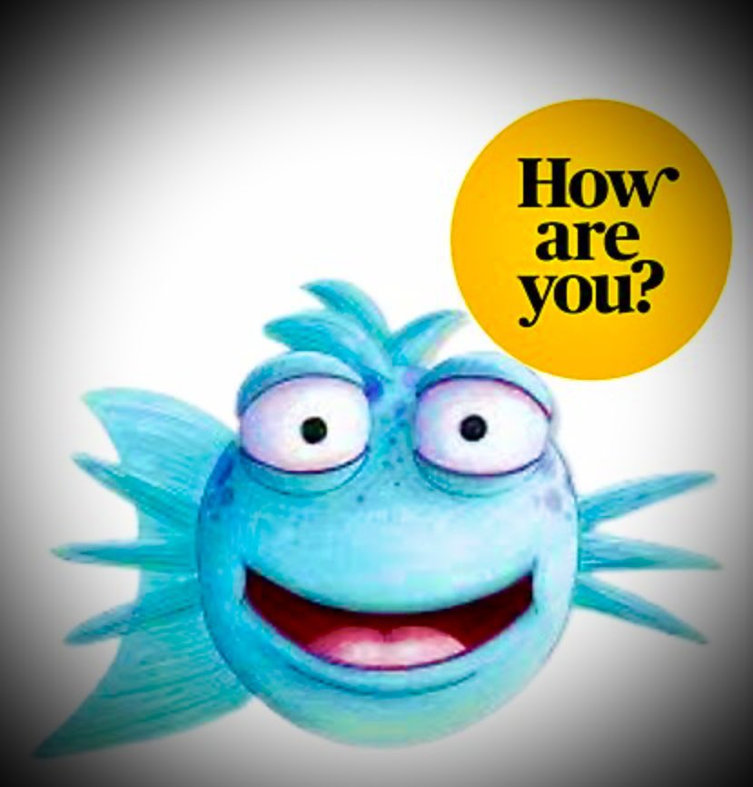 SeasiderSeafood's tweet image. Fun fish fact - Did you know that fish can talk? 

Fish might not talk to each other like we do.

However, studies show that they do communicate!

They communicate through sound, colours and even motions 🤯 #seasiderseafoods #Hull #funfishfacts #fishfacts #talkingfish