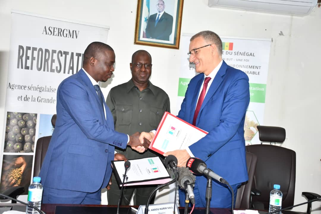 asergmv's tweet image. Signature de convention entre l'Agence sénégalaise de la Reforestation et de la Grande Muraille verte et la Fondation OCP  (Office Chérifien du Phosphate), présidée par le ministre de l'Environnement et du Développement durable, Monsieur Abdou Karim Sall.
#pse_vert #Reforestation