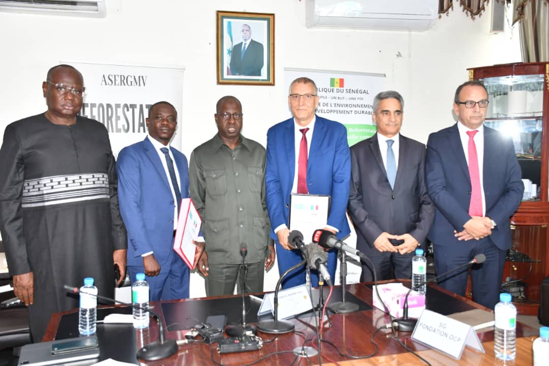 asergmv's tweet image. Signature de convention entre l'Agence sénégalaise de la Reforestation et de la Grande Muraille verte et la Fondation OCP  (Office Chérifien du Phosphate), présidée par le ministre de l'Environnement et du Développement durable, Monsieur Abdou Karim Sall.
#pse_vert #Reforestation