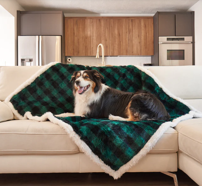 ProductImagine's tweet photo. PupProtector™ Waterproof Throw Blanket - Green Buffalo Plaid😍😍

🅱🆄🆈 🅾🅽🅴 🅷🅴🆁🅴--->https://t.co/Skw1QVYJTS

#GreenBuffalo #Blanket #Waterproof #PupProtector #DogBed #Foam #CurveWhite #Product #Dog #attractive #luxuriousdesign #PupRug #Basketball #Bed #fauxleather https://t.co/wrIuNZt0S3