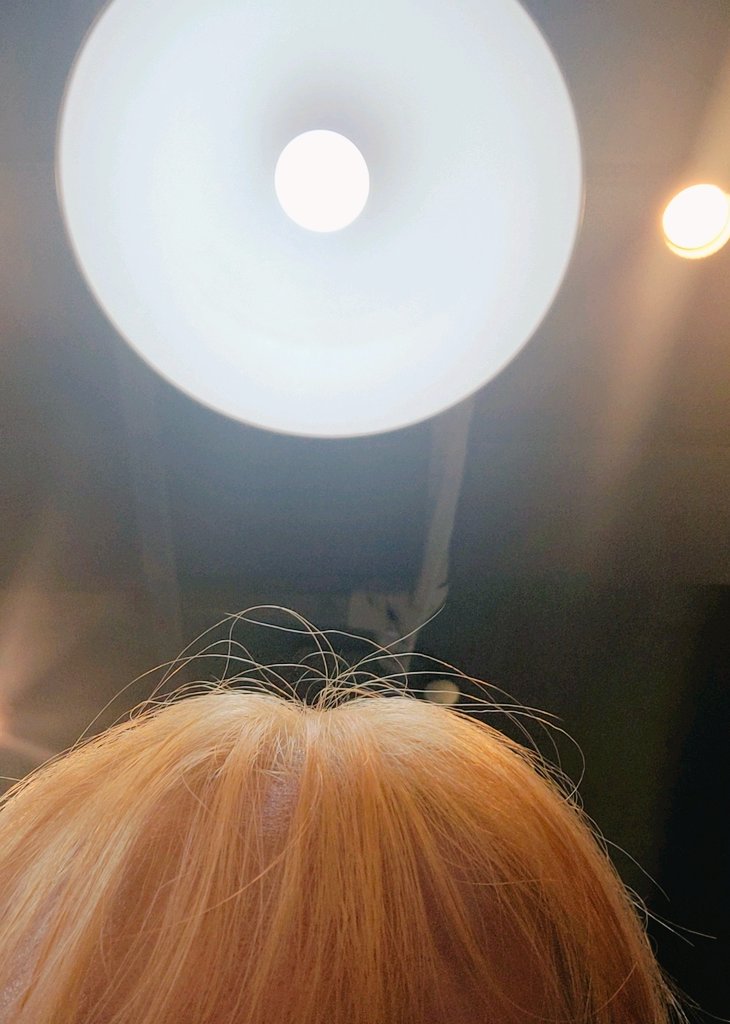 chamsul__'s tweet photo. @hongfish421 ㅎㅇ https://t.co/v7jUpqnqAC