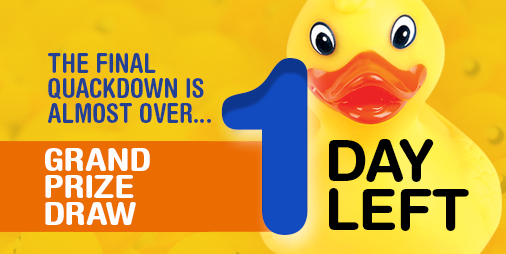 GotDuckGuelph tweet media