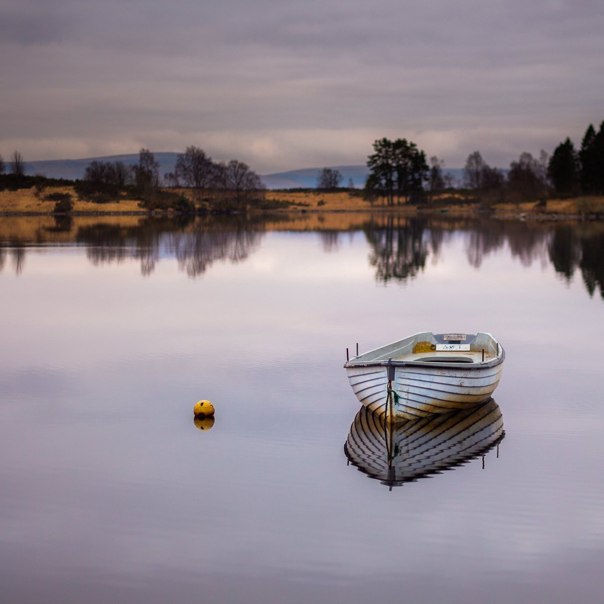 Petrovious's tweet photo. Four for #fsmonthly - reflections at Loch Ard, Glasgow City centre, an osprey in the Cairngorms and at Loch Ruskie https://t.co/jbXHPMR1tc