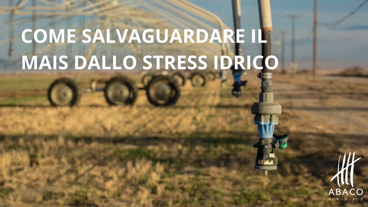 💧Uno degli strumenti più utili per contrastare il problema della siccità è rappresentato dall'utilizzo di nuovi modelli di pratiche colturali.

Grazie ad ABACO Farmer e ai suoi widget specifici, ad esempio, si può facilmente monitorare la riserva idrica degli appezzamenti!