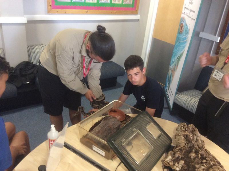 Notton_House's tweet photo. Reptiles at Notton!: Staff and pupils loved their day, spending time with the reptiles yesterday. With thanks to The Reptile Academy for coming to Notton!  https://t.co/MfiIYbd9Vq https://t.co/BM4Q9TgNnU