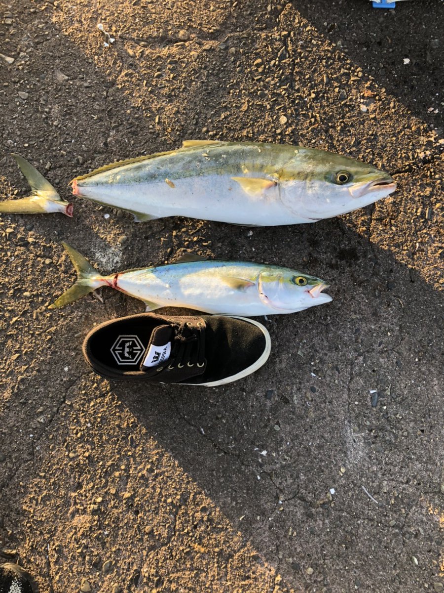 mie4fish's tweet photo. 釣り好きのどっかの自動車整備士の新人社員です😊
今月は伊勢の方まで行こー思てるんで伊勢あたりで釣れるポイントあったらおしえてほしいです😆
DMでもリプでもいいのでお願いします🙇
#釣り初心者 
#釣り https://t.co/RlxSKbvstA