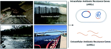 Environmental Science Journals of the RSC (@envscirsc) on Twitter photo New #OpenAccess work from Walter McDonald (<a href="/McDonald_Hydro/">Walter McDonald</a>) et al reporting on seasonal and spatial patterns between intracellular and extracellular antibiotic resistance genes in urban stormwater runoff in #ESAdvances. Read here ➡ rsc.li/3bFiJ2v New #OpenAccess work from Walter McDonald (<a href="/McDonald_Hydro/">Walter McDonald</a>) et al reporting on seasonal and spatial patterns between intracellular and extracellular antibiotic resistance genes in urban stormwater runoff in #ESAdvances. Read here ➡ rsc.li/3bFiJ2v