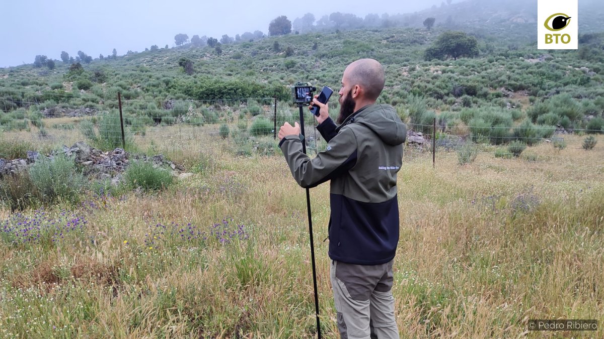 3. Analysis confirmed that there was an Eagle Owl at the site this year! Our Portuguese colleagues particularly like the non-invasive sound recording method compared to the alternative method of playing recorded Eagle Owl calls to test for a response, which might affect behaviour