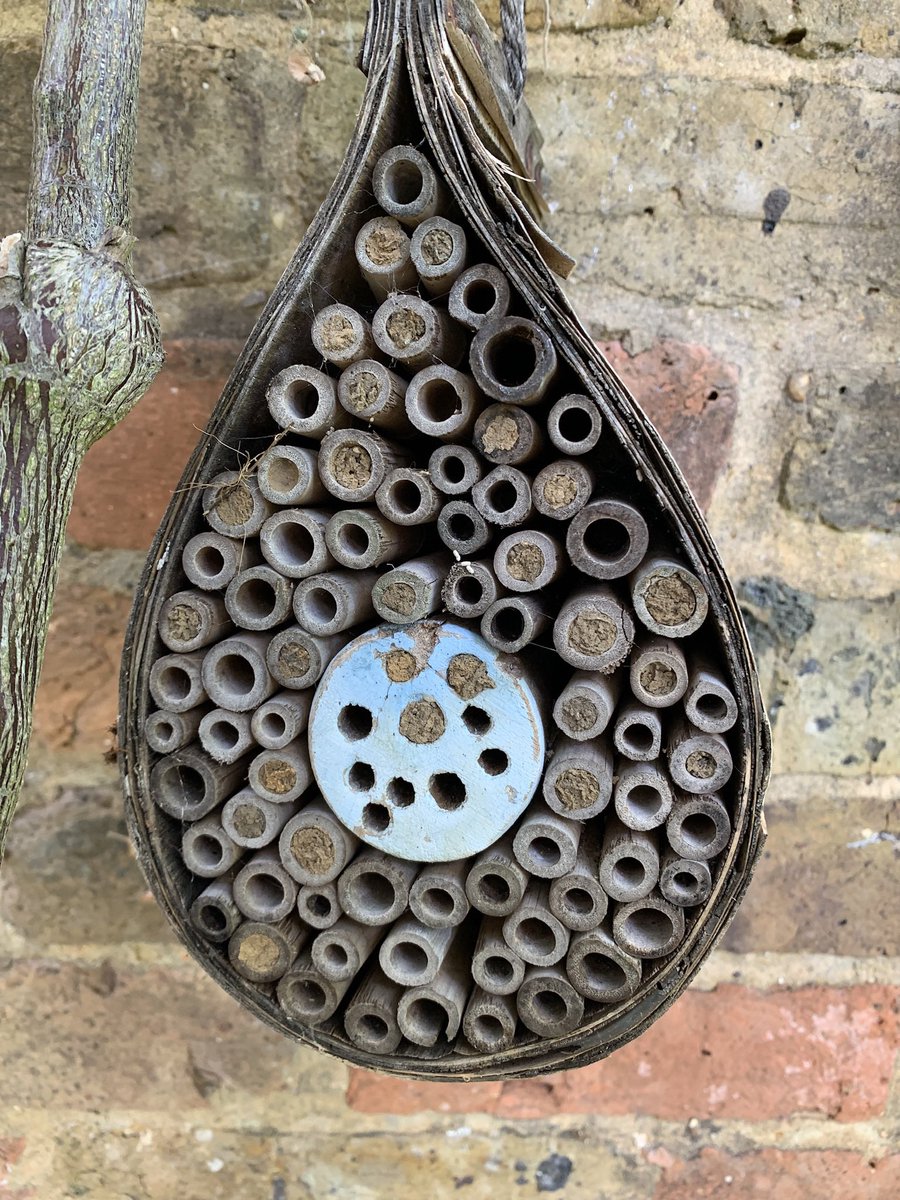 Naomi Wilkinson tweet media