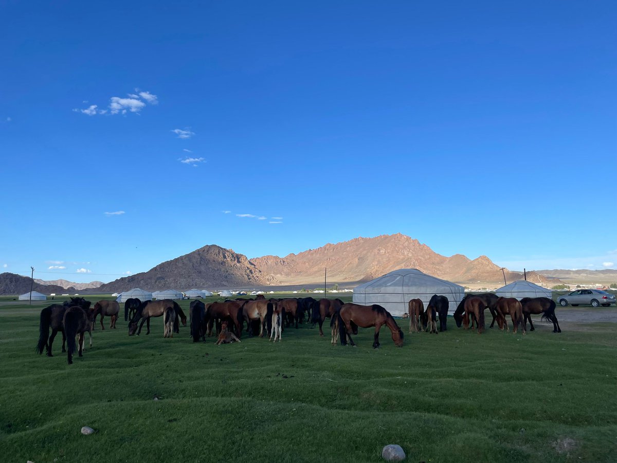 👨‍⚕️ Notre #urologue, le <a href="/dr_wardsam/">Dr Ward Sam</a>, a partagé son expertise dans un hôpital mongol en juin. Il a appris à ses confrères urologues à travailler avec les dernières technologies et a contribué à rendre les soins de santé plus accessibles. Enkele foto’s. 📸 #gezondheidszorg