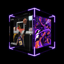 Pranksy (Wooloo Arc) tweet media