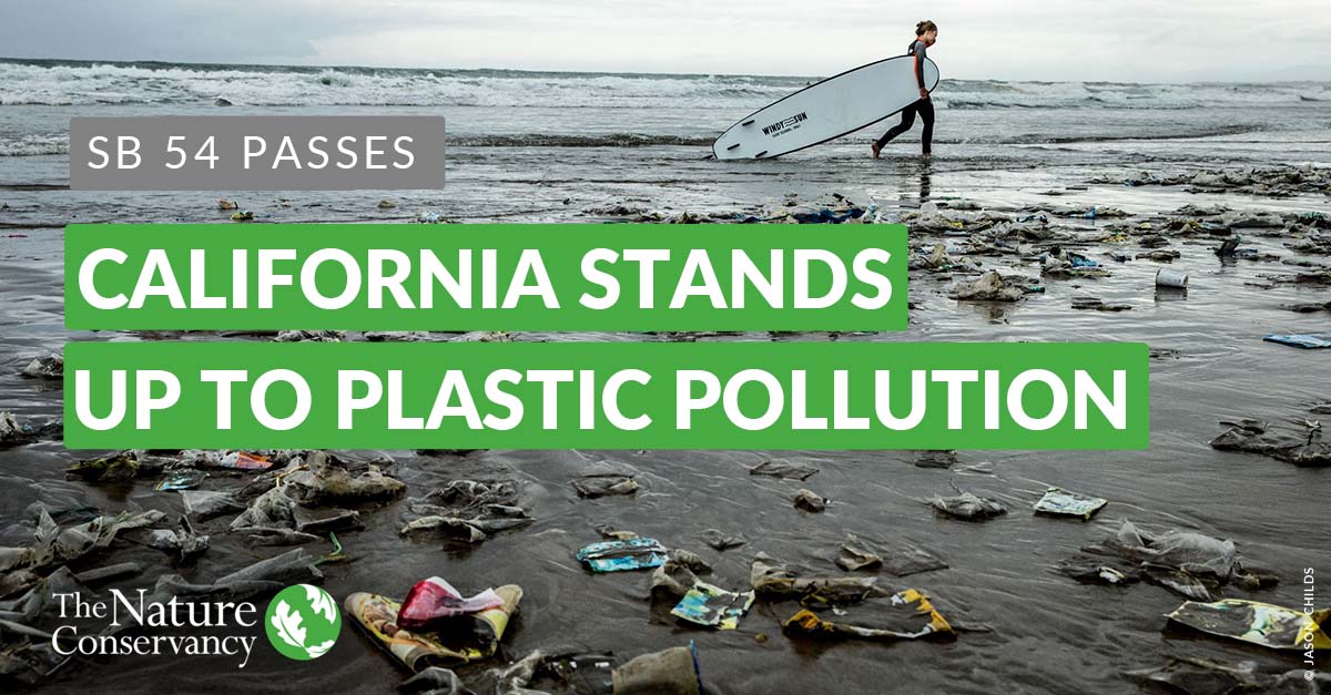 California has taken action on #plastic pollution! #SB54 has passed &amp; is making its way to <a href="/CAgovernor/">Governor Gavin Newsom</a>’s desk 👏🏽

This victory is three years in the making &amp; the result of over a decade of work from our TNC team, <a href="/BenAllenCA/">Ben Allen</a>, <a href="/AsmLuzRivas/">Assemblywoman Luz Rivas</a>, <a href="/MontereyAq/">Monterey Bay Aquarium</a>, <a href="/OurOcean/">Ocean Conservancy</a> &amp; <a href="/oceana/">Oceana</a>. 🧵1/6