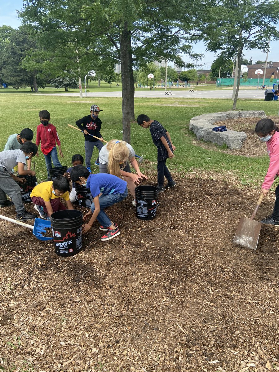 Mr. Pedlar (@mr_pedlar) on Twitter photo Last day mulching <a href="/BellmereJPS/">Bellmere Junior PS</a> A platinum eco school has to do what a platinum ecoschool has to do! <a href="/EcoSchoolsTDSB/">TDSB EcoSchools</a> <a href="/EcoSchoolsCAN/">EcoSchools Canada</a> <a href="/tdsb/">Toronto District School Board</a> Last day mulching <a href="/BellmereJPS/">Bellmere Junior PS</a> A platinum eco school has to do what a platinum ecoschool has to do! <a href="/EcoSchoolsTDSB/">TDSB EcoSchools</a> <a href="/EcoSchoolsCAN/">EcoSchools Canada</a> <a href="/tdsb/">Toronto District School Board</a>