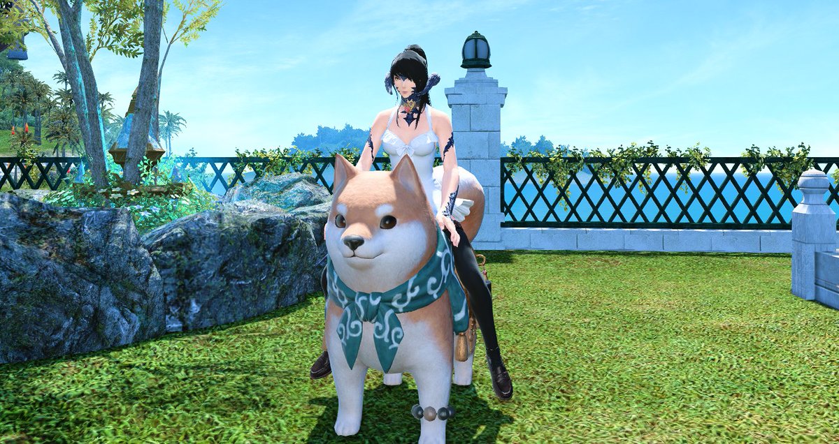 Sapphira Nyx tweet media