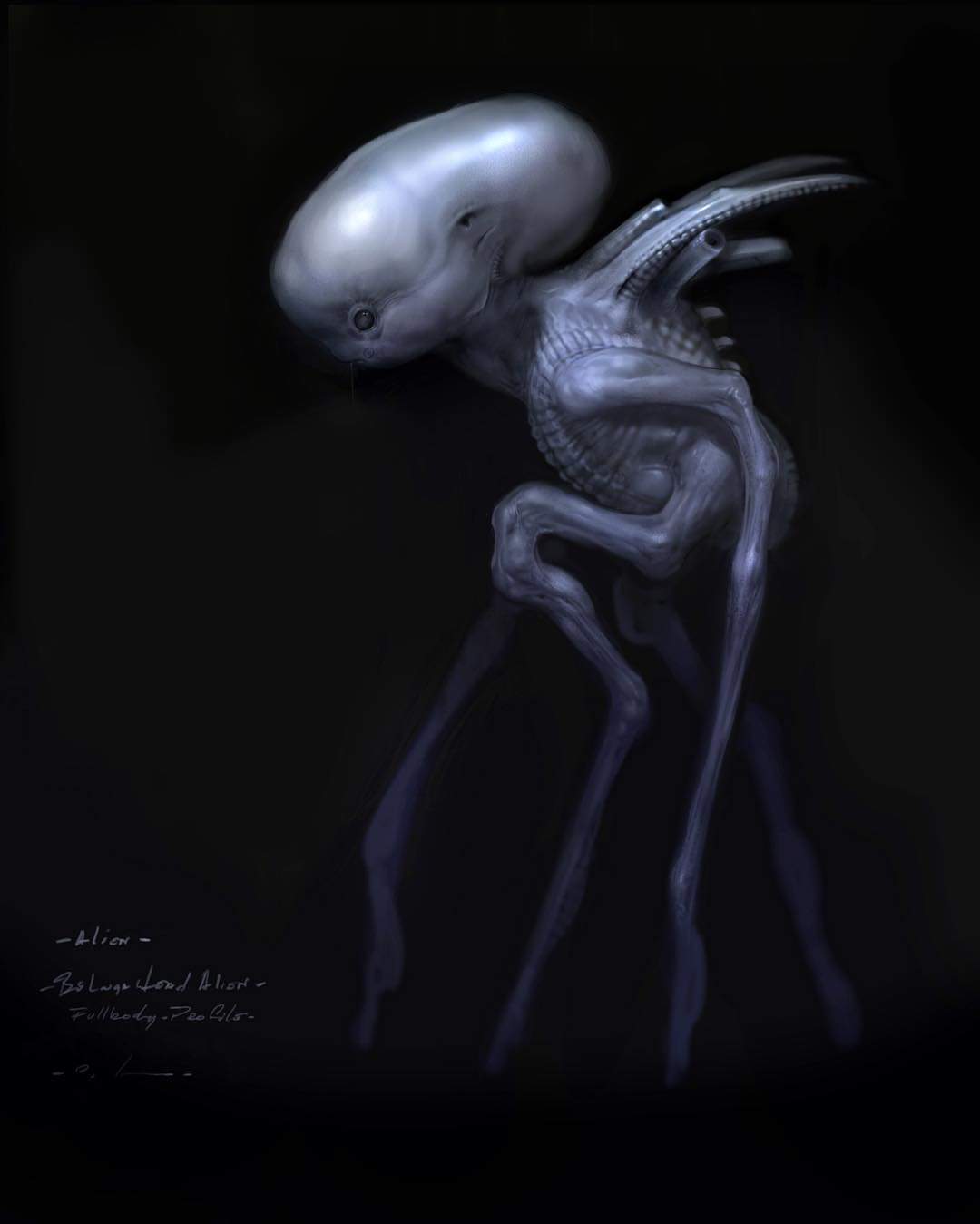 Alien vs. Predator Galaxy on Twitter "For much of Prometheus