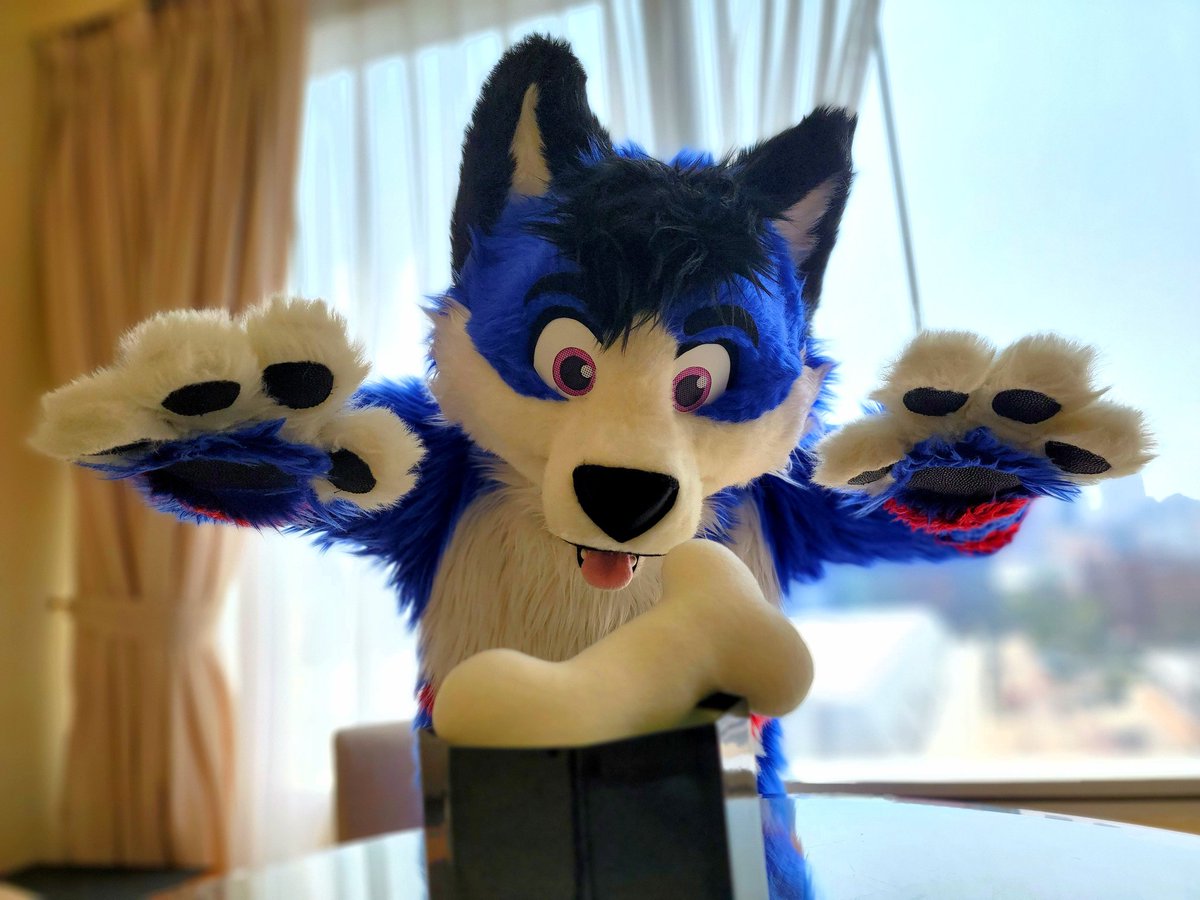 沒有狗狗能夠抵受骨頭的誘惑啊🥰
骨頭我來了🤤

I love bones 🥰 and I won't let anyone to take them from me🤤

#FursuitFriday