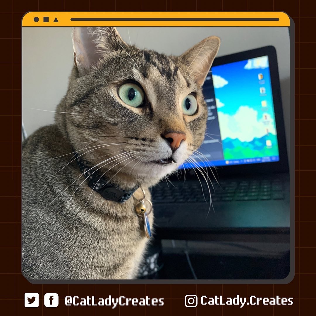 CatLadyCreates's tweet photo. It’s #workfromhomeday in our office everyday
#virtualassistant #virtualassistants #virtualassistantlife #VAlife #virtualassistantCanada #grateful #featured #marketingva #socialmediava #marketing #digitalmarketging #socialmedia https://t.co/HF4Xz05M0r