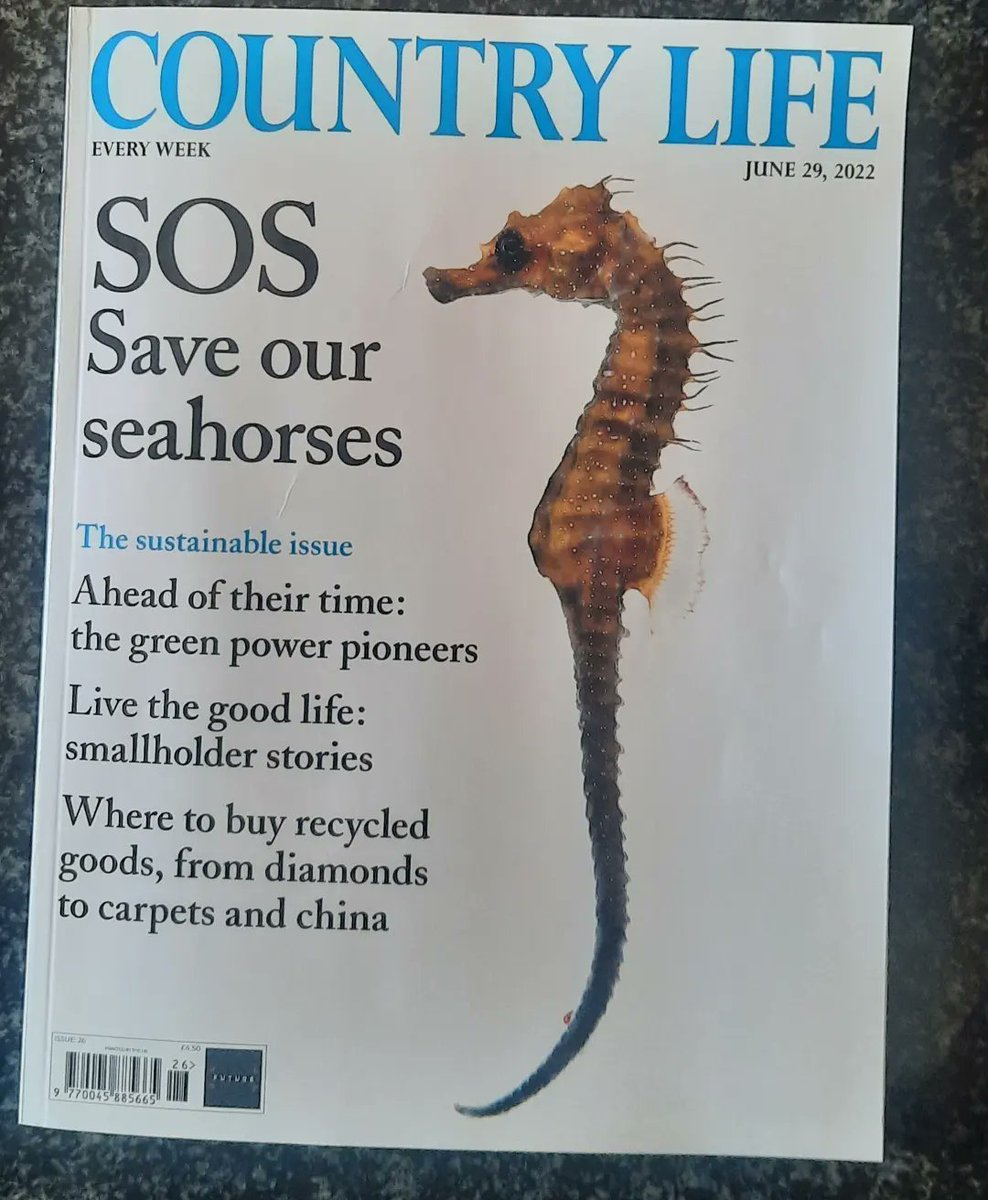 GreatBerwickOrganics tweet media