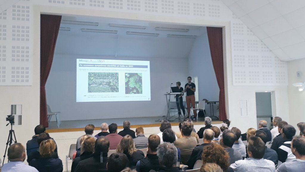 Cédric Moisy tweet media