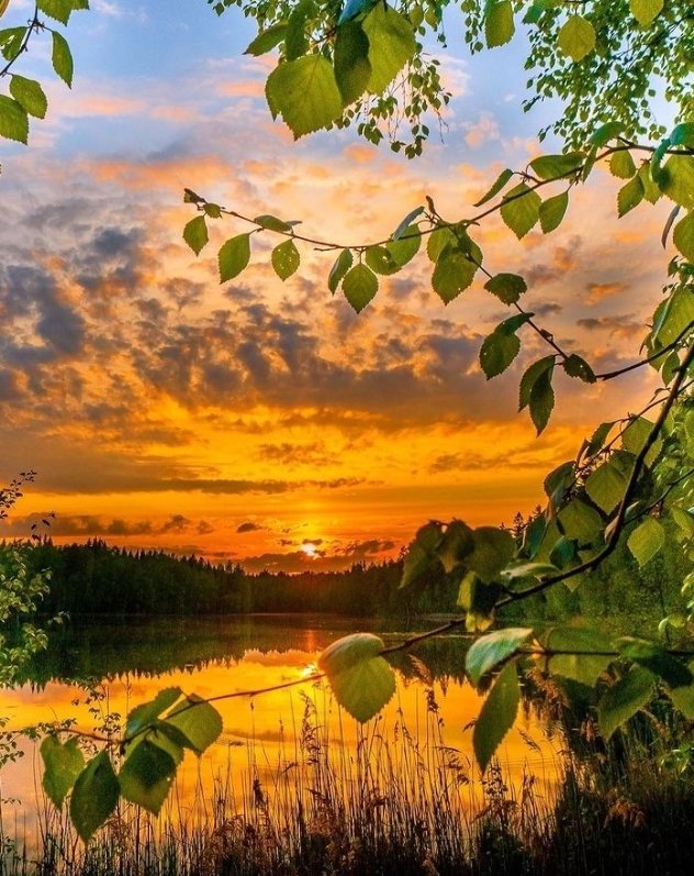 GAP-ORGANIC tweet media