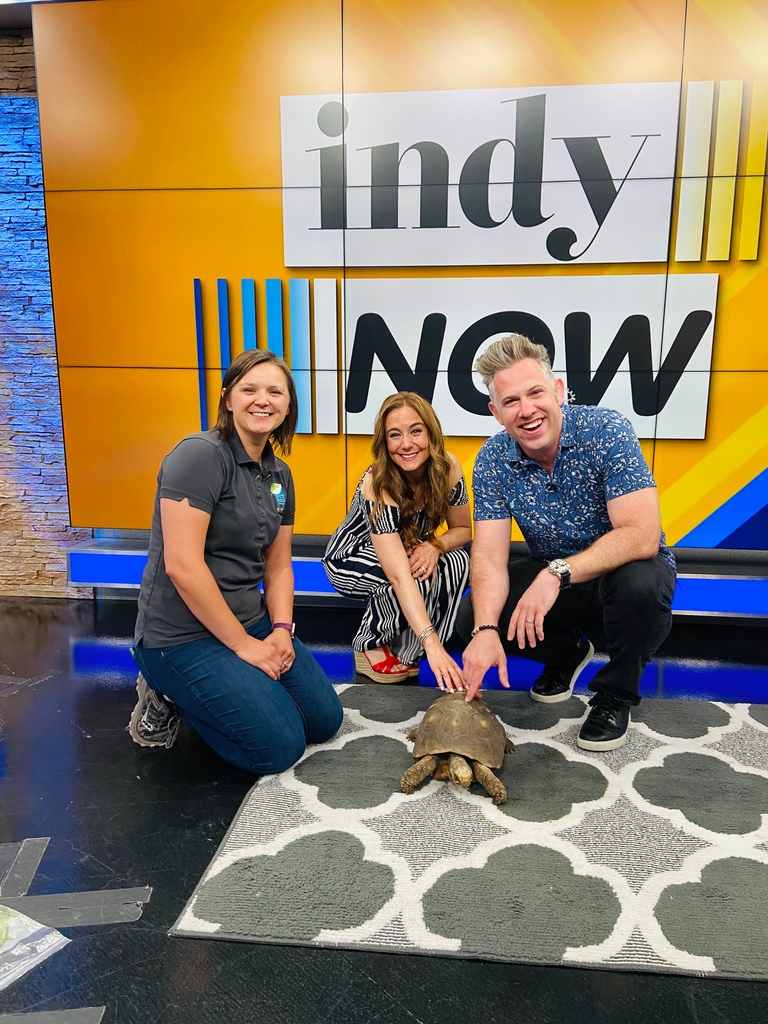 Indy Parks🌲 tweet media