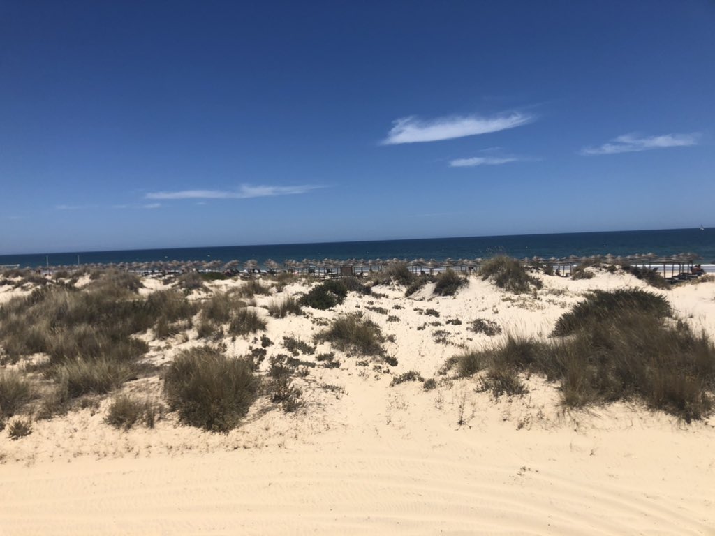 David Shepherd tweet media