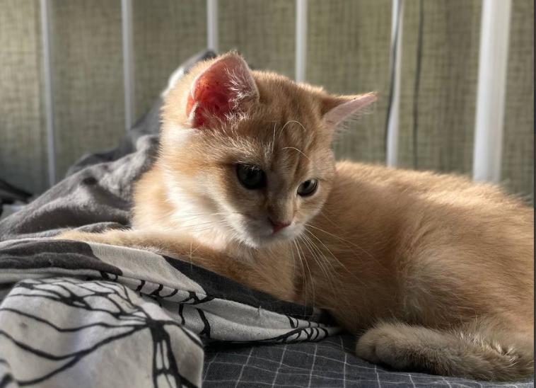 ВИНТАЖНЫЙ БОГ tweet media