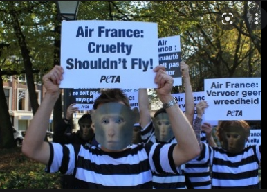 Kathy Guillermo tweet media