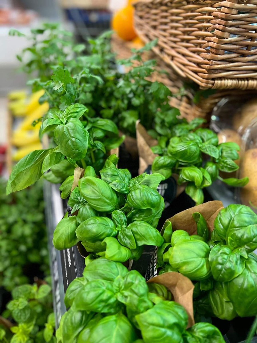 Archived | Partridges Market tweet media