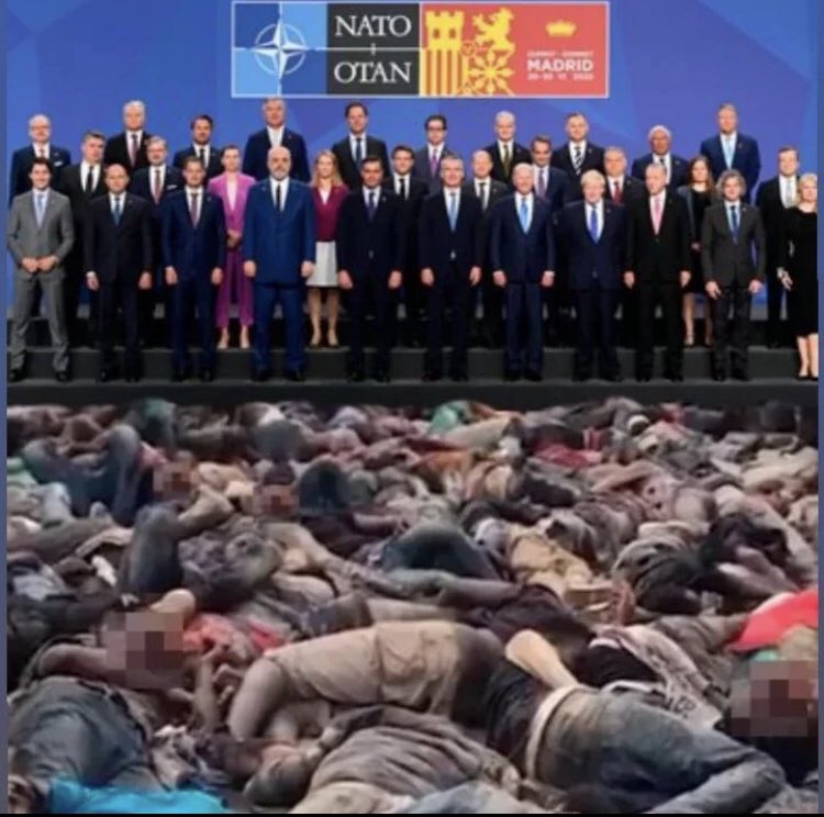 Nato terör örgütüdür.