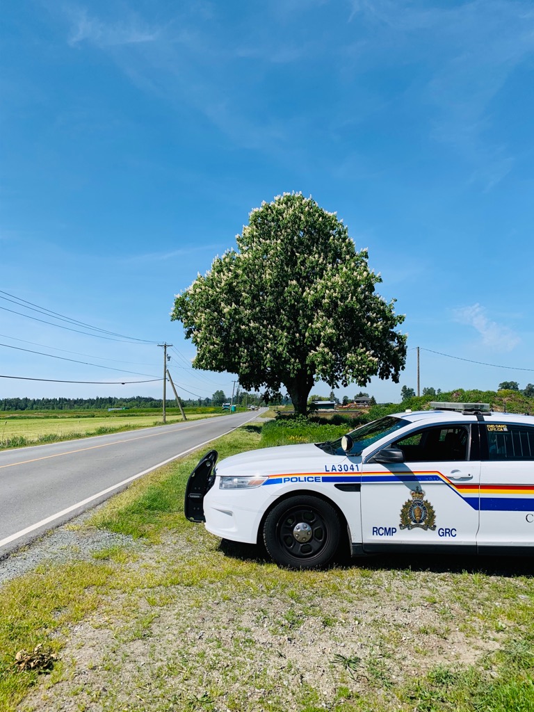 LangleyRCMP's tweet photo. Our Langley #RCMPTraffic members are essential in keeping our roadways safe from impaired drivers, speeding and other dangerous habits. Slow down, do not drive impaired and obey all road rules and signs.
#langley #rcmp #langleyrcmp #langleypolice #bcrcmp https://t.co/fdxQ7NEC0c