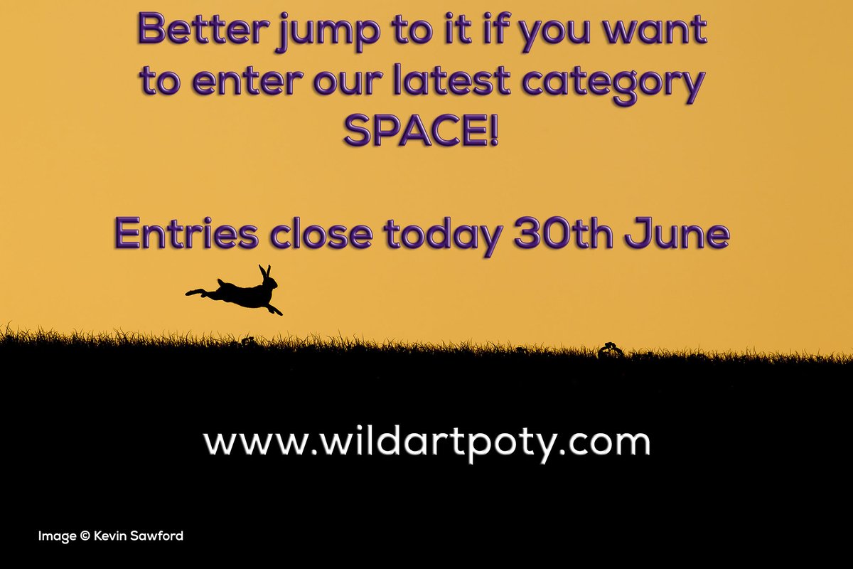 Yikes! Better get a move on if you want to enter SPACE as entries close today at midnight BST! Click the link to go to our website and enter your images. With £18k worth, what are you waiting for? wildartpoty.com @SwarovskiOptik @OMSYSTEMcameras @Cotton_Carrier @fstopHQ