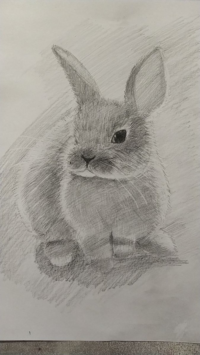 niece asked me to draw a bunny...
I love making children happy... 💯🥰