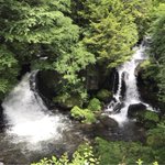 福島🍑孫の手トラベル🍑添乗員🍑のツイート画像