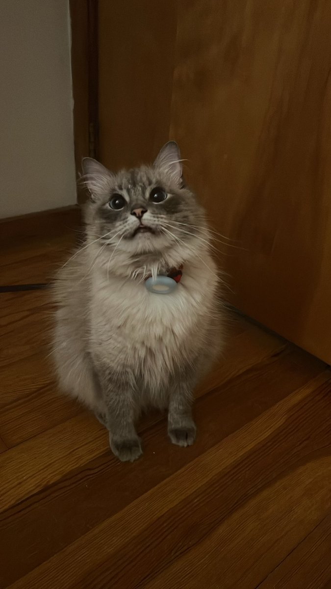 Did the bare minimum this week :)