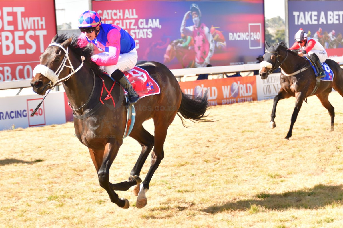 JC_Photos1's tweet photo. Jockey Denis Schwarz makes a welcome return to the Winners Box. On the other hoof, trainer Fanie Bronkhorst has become a regular. Mo Jive runs in Suzette Viljoen's colours and is bred by Stone Hill Stud.
@StonehillStud 
@Suzettetweets https://t.co/73lvyvcWeq