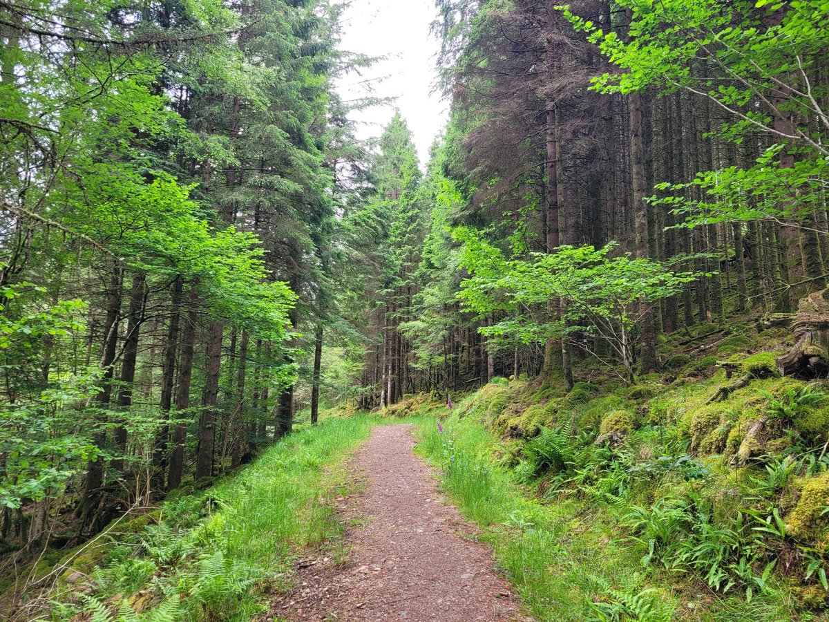 Jamie_LEJOG's tweet image. Day 82: Invergarry to Fort Augustus, 9 miles. A really nice walk today. Started off in the woods above Loch Oich before rejoining the Caledonian Canal to Fort Augustus and my first sight of Loch Ness, which I'll be seeing plenty more of in the next few days.