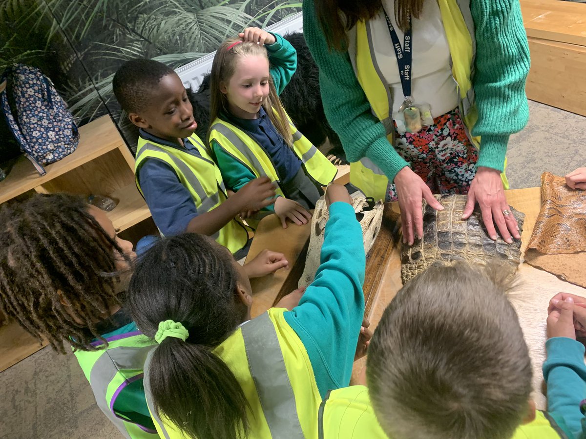 uptonrainbow's tweet photo. Finishing the day with some investigation! @ZSLWhipsnadeZoo https://t.co/lhxZ8QrKQs
