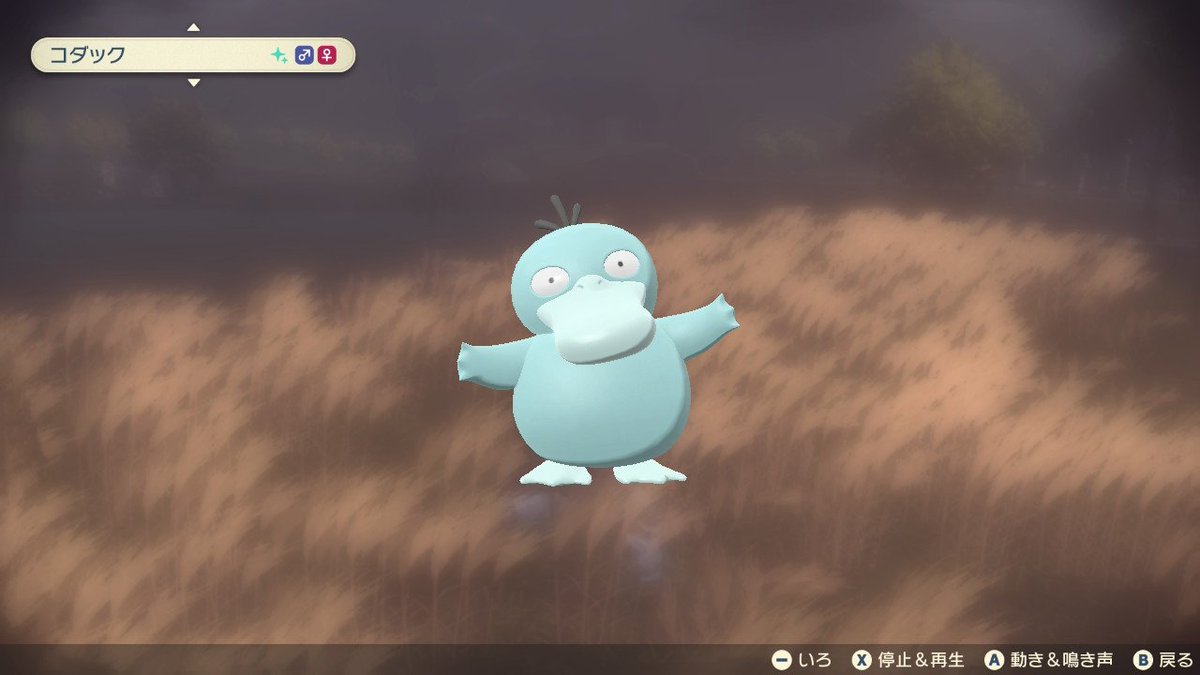 アルセウス ゴルダックの色違い入手方法 ポケモンレジェンズ 攻略大百科