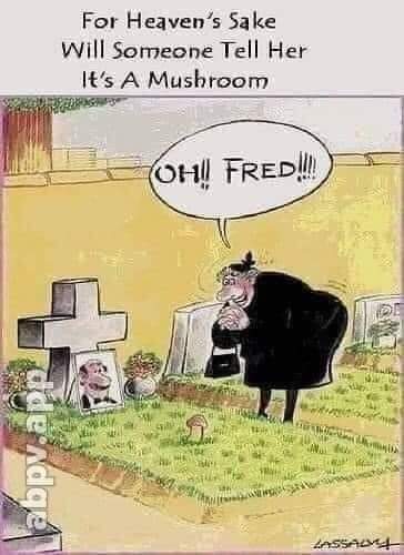 Good morning, Twitter!☕☕☕