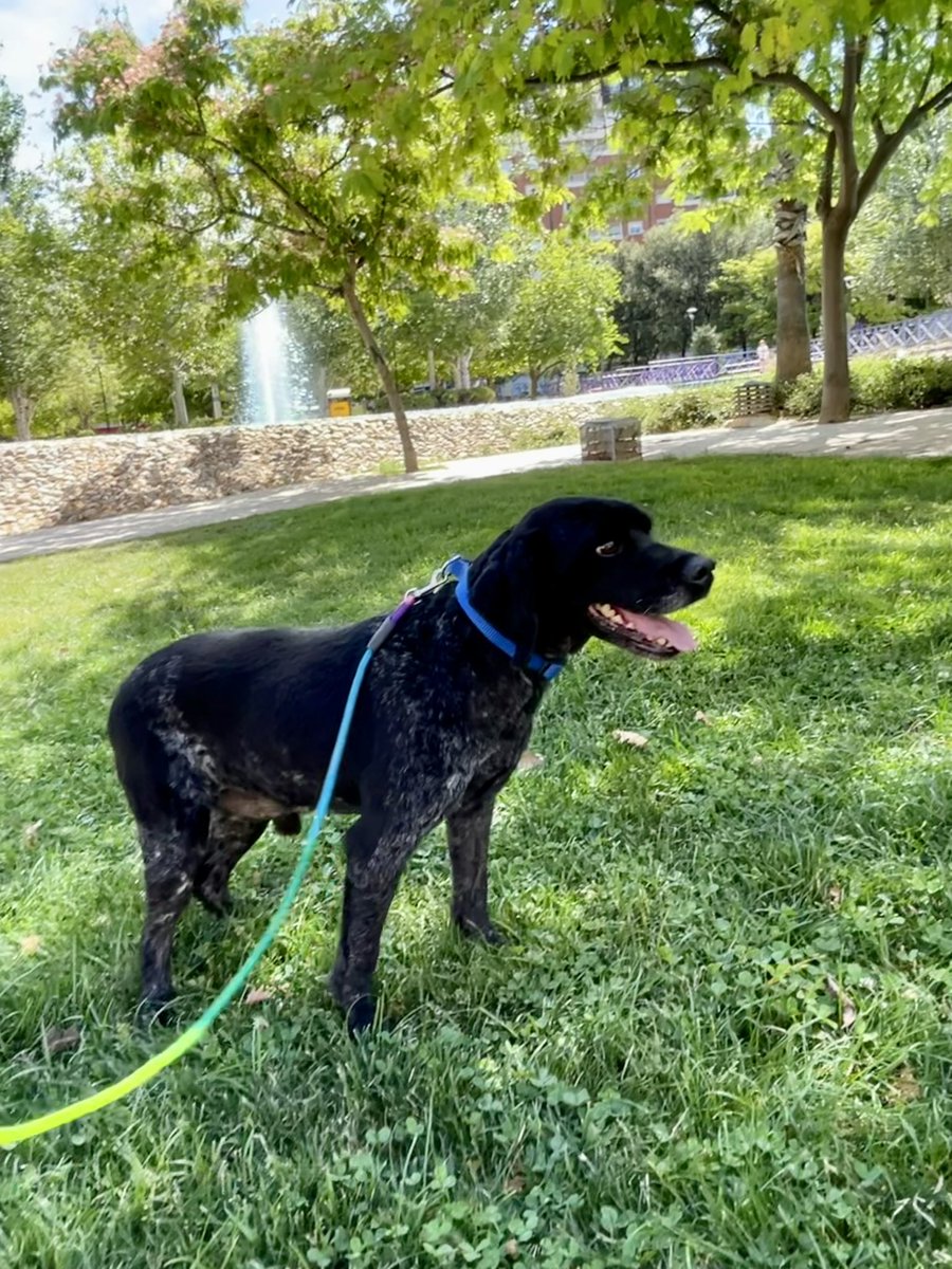 Mil gracias a quien de verdad y de corazón nos ayudáis día a dia…
