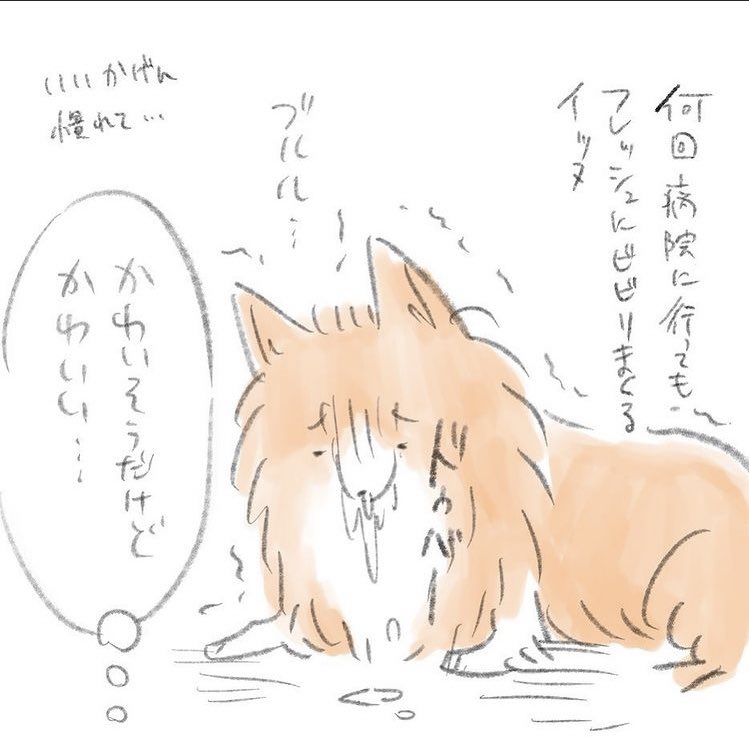 びびるとよだれが止まらなくなるタイプだったイッヌ

#秘密結社老犬倶楽部 
#秘密結社老犬倶楽部天国支部 
#老犬日記 