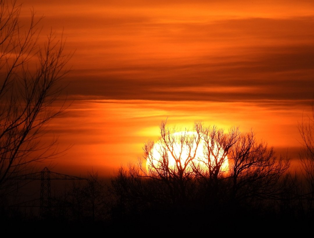 Zondag 3 juli Nationale zonnekijkdag bij Observeum!
observeum.nl