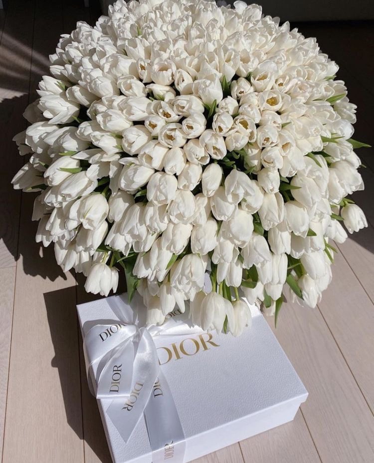 SelectOutfit's tweet photo. white tulips https://t.co/mlSvekABcS