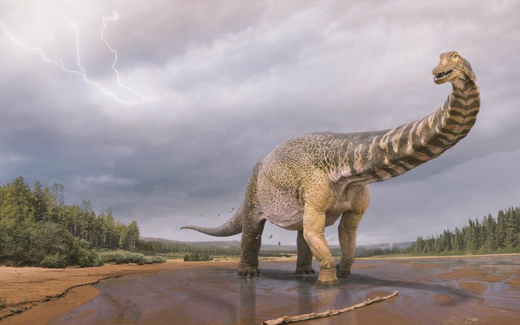 Wadjubaakh's tweet photo. Dinosaurus politicus.
Espèce en voie de disparition. 30 juin 2022, Ndoumbélanik park, Sénégal #hashtag221 https://t.co/KAU0g4RorV