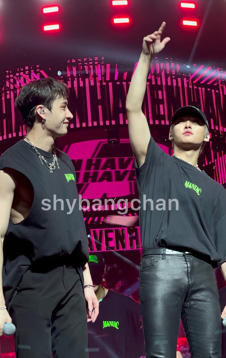they are my everything 💗 #STRAYKIDSinNEWARK #StrayKids_2ndWorldTour #bangchan #leeknow