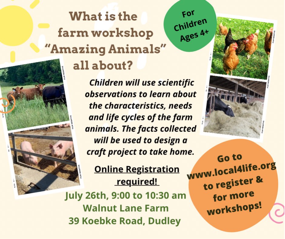 Erin Anderson (@mrsandersoncms) on Twitter photo 