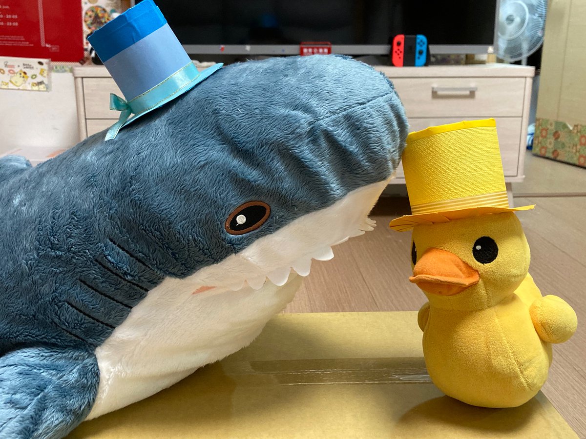 RosalinaHomers's tweet photo. My toppats animal dolls
#blahaj #toppats
#黃色小鴨 https://t.co/evg2eaWOOW