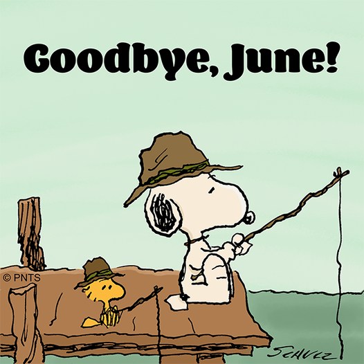 gregorio catarino (@gregcatarino1) on Twitter photo 