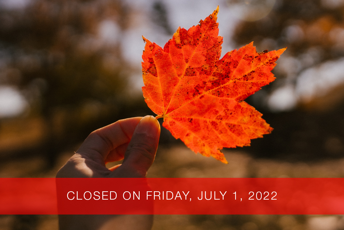 Web Wizards will be closed on Friday, July 1, 2022 for Canada Day.